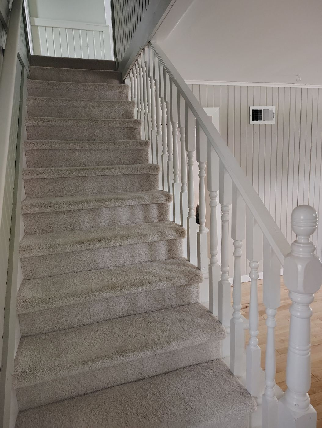 Freshly cleaned carpeted staircase