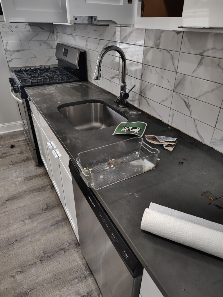 Kitchen sink & counter before cleaning