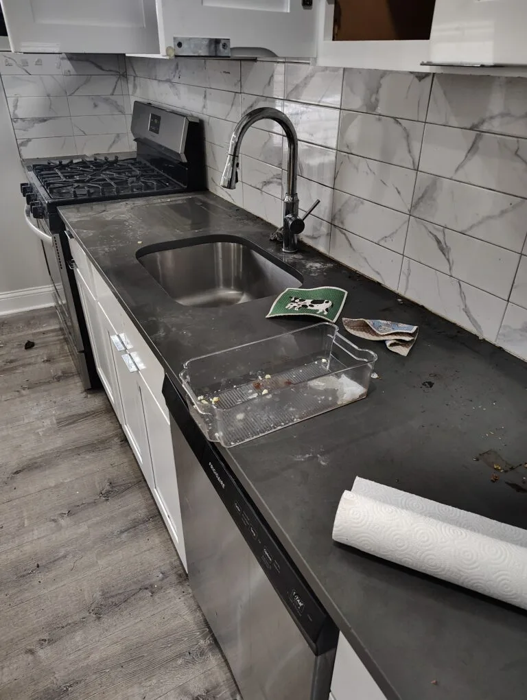Kitchen sink & counter before cleaning